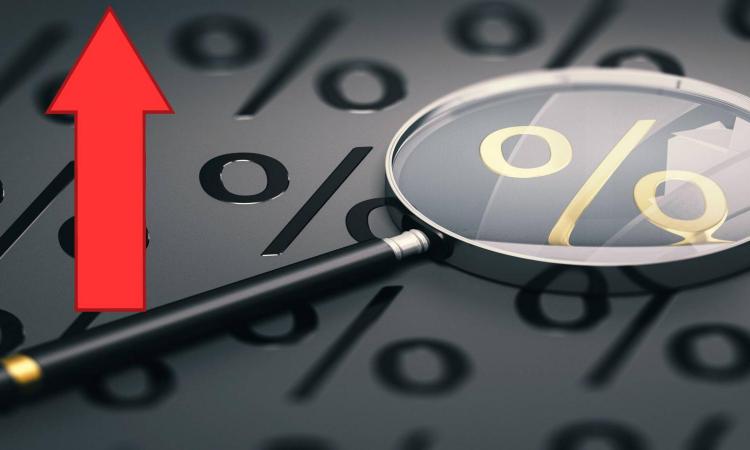 En procentsymbol förstorat med ett förstoringsglas