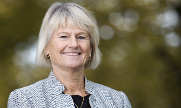 Pam Fredman