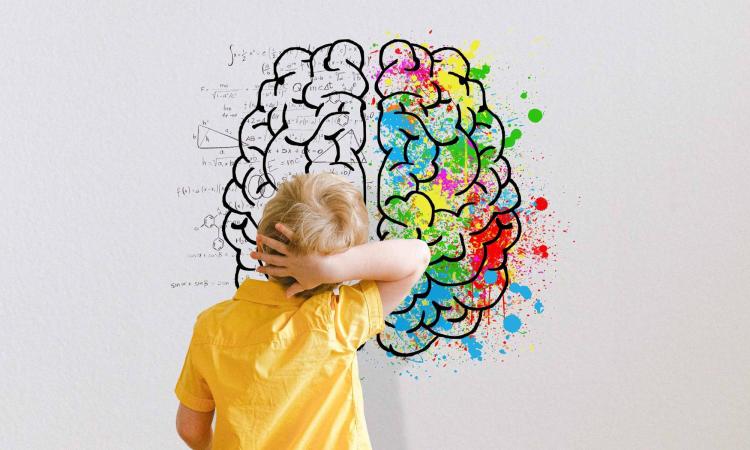 barn som tittar på två hjärnhalvor föreställande den som styr språk och tal samt den som styr konst och skapande