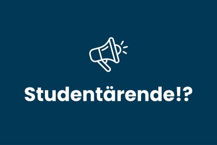 Bild megafon